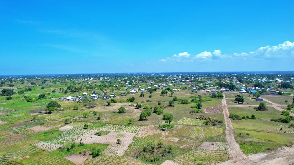 BAGAMOYO ROYAL PROJECT