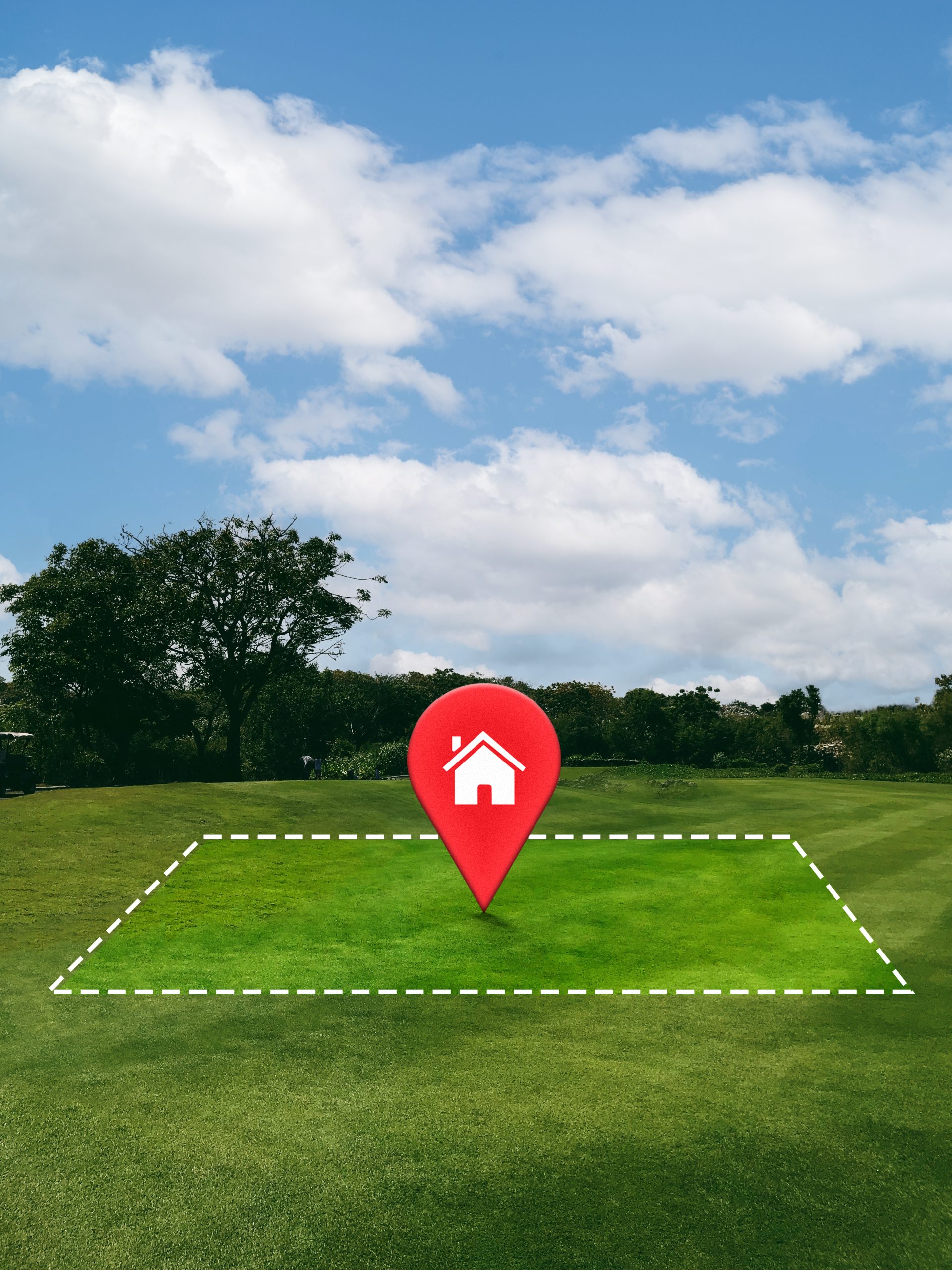 delimitation land with trees