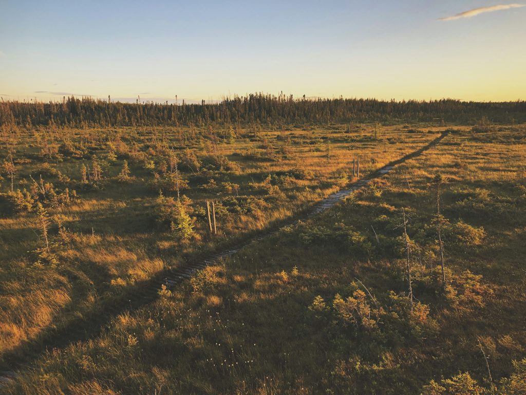 BAGAMOYO ROYAL PROJECT